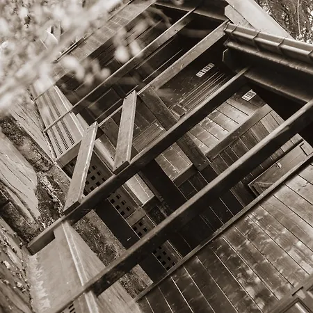 Üdülőpark Paradiso