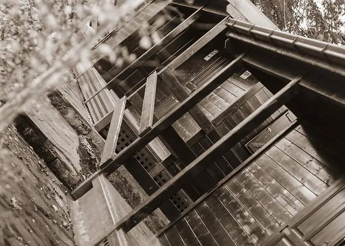 База отдыха Paradiso